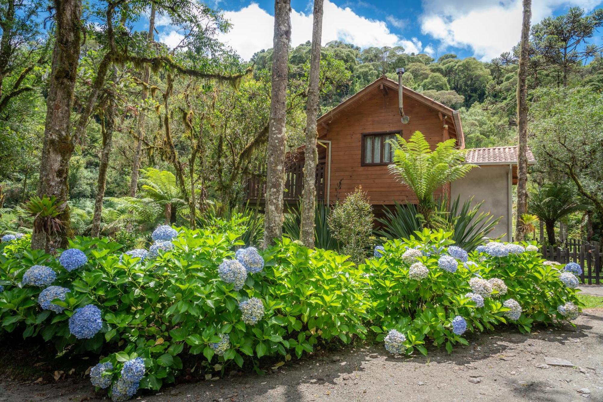 Pousada Caminhos Da Natureza Urubici Exteriér fotografie
